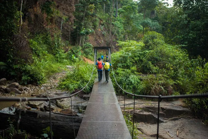Bukit Kutu & Gunung Rajah Trailhead Picture 9