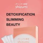 Shizumi Online