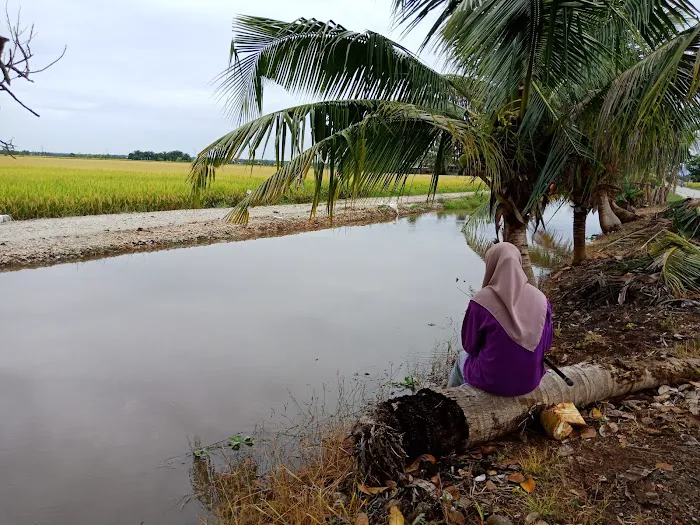 Laman Bonda Aishah (Private Property-No Entry)) Picture 10