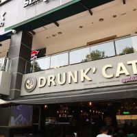 Drunk' Cat Publika ico