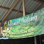 Tanah Dusun Suri