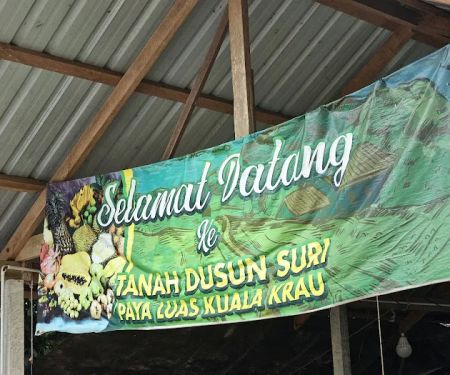 Tanah Dusun Suri