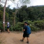 Camp Orkid