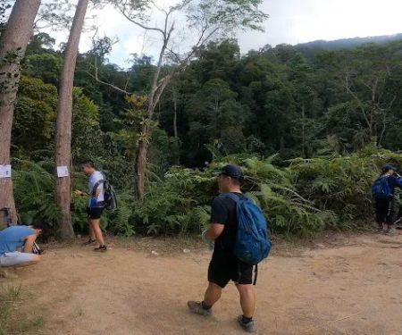 Camp Orkid