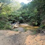 Camp Keling