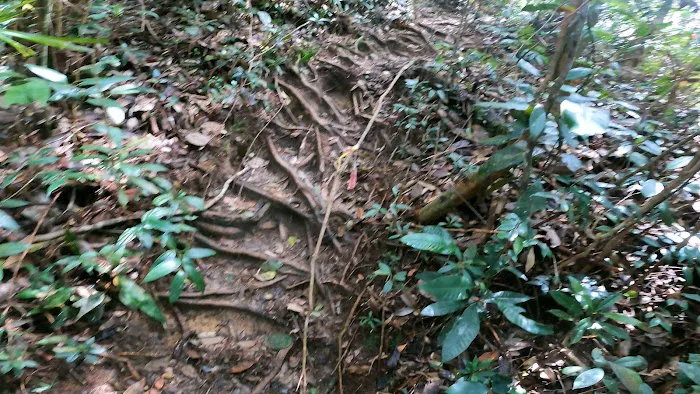 Camp Keling Picture 2