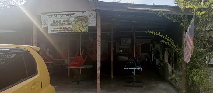 Kak Ani Ayam Belada Picture 5