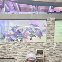 AKUARIUM IKAN KELAH ico