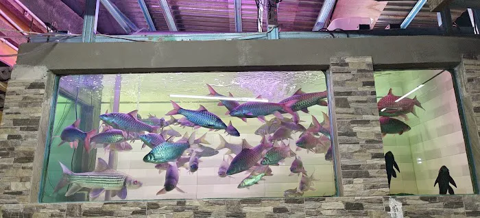 AKUARIUM IKAN KELAH Picture 3