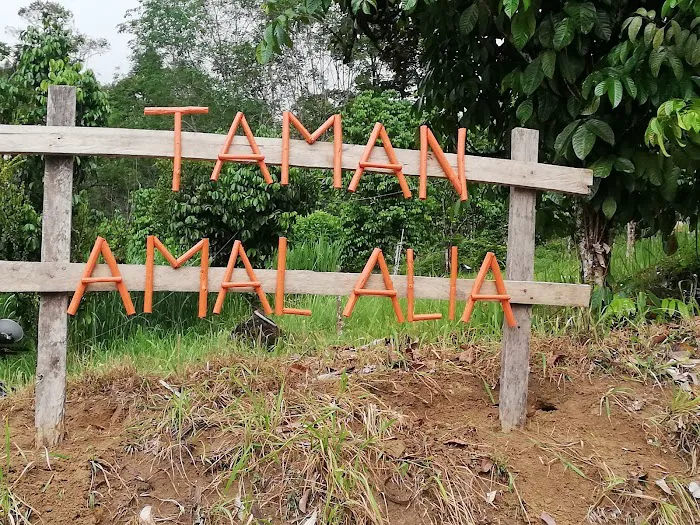 Taman Amal Alia Picture 6