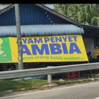 Ayam Penyet Ambia ico