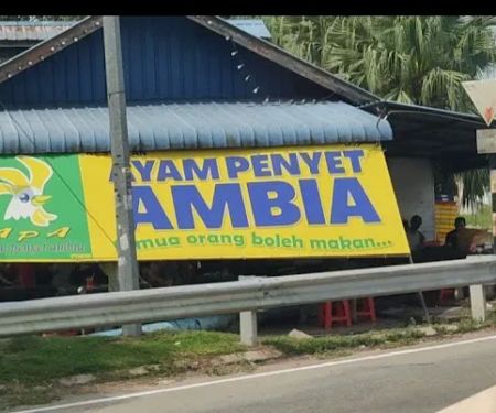 Ayam Penyet Ambia