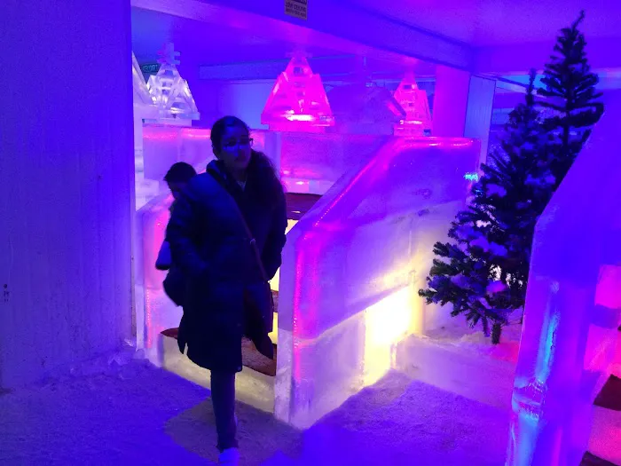 Snow Garden Picture 2