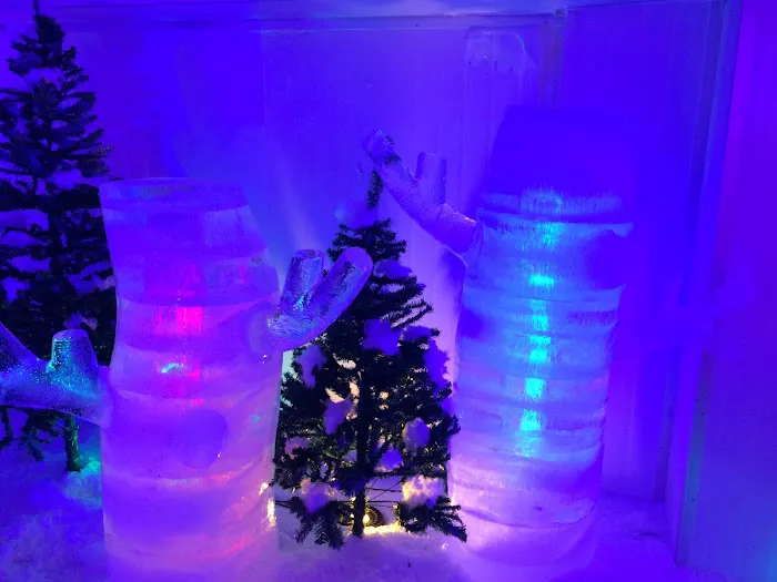 Snow Garden Picture 6