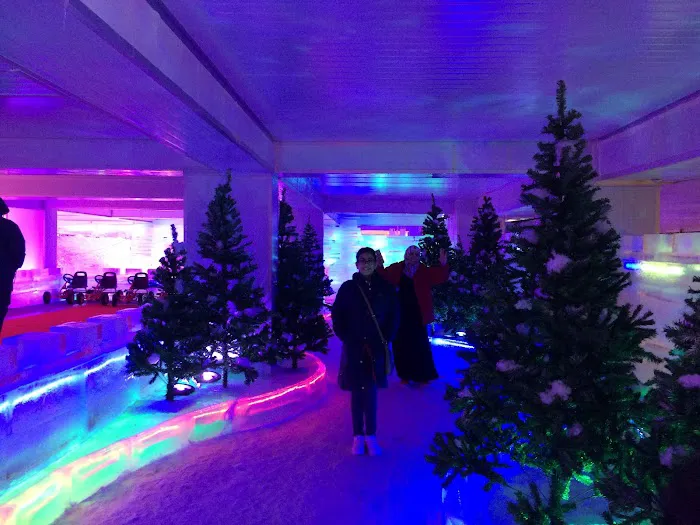 Snow Garden Picture 9
