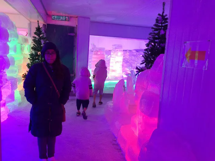 Snow Garden Picture 7