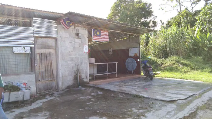 Ayam segar dapi hijau Picture 1