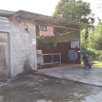 Ayam segar dapi hijau ico