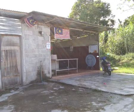 Ayam segar dapi hijau