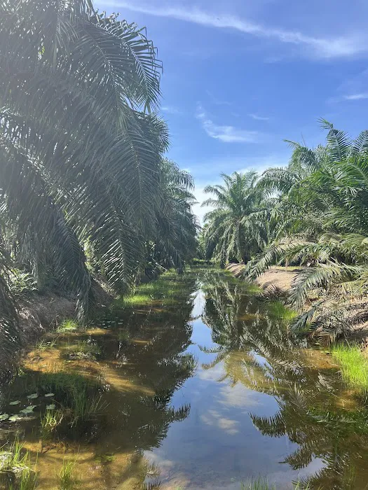 Putralan River View Farm Resort 2 Sabak Bernam Picture 10