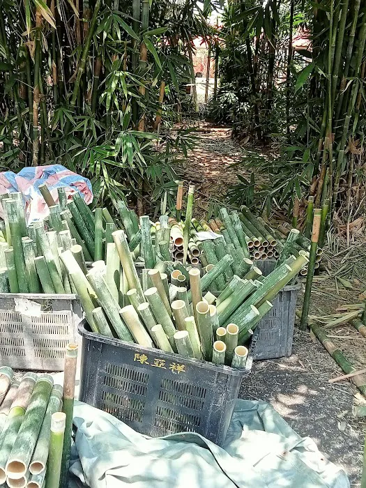 Laman Tani Buluh Lemang Picture 4