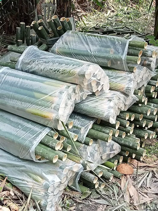 Laman Tani Buluh Lemang Picture 10