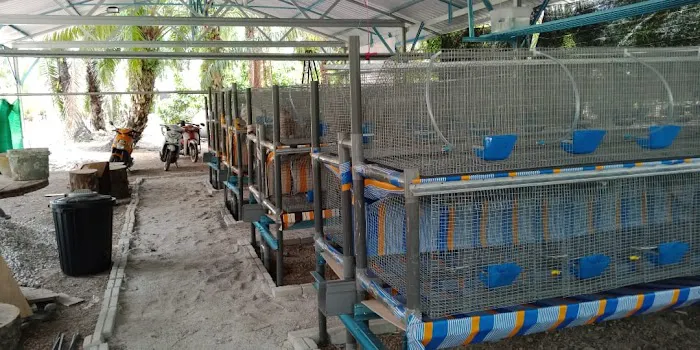 Kebun Ku Picture 1