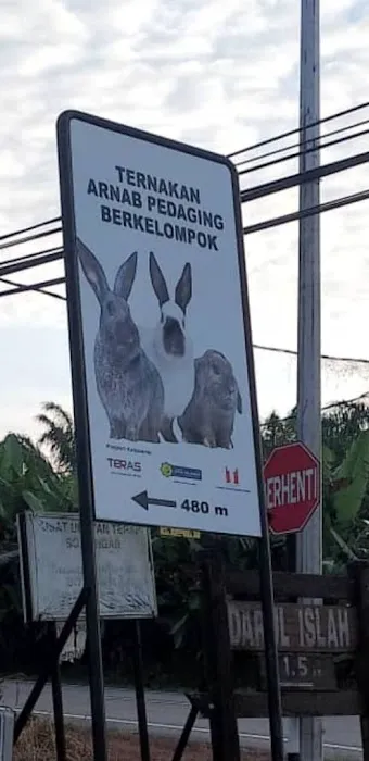 Kebun Ku Picture 8