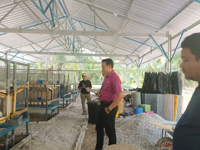 Kebun Ku Picture 7