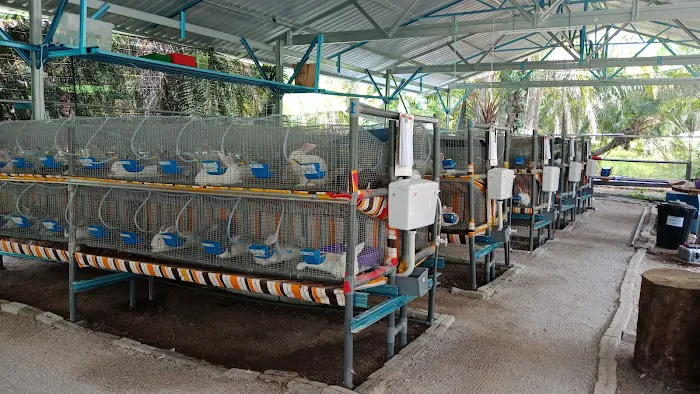 Kebun Ku Picture 10