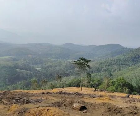 Kolam Bunian Bukit Payung