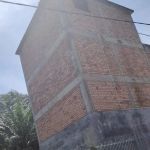 pokok kelapa sawit
