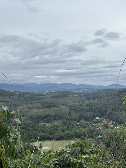 Geliong View Hill Picture 2
