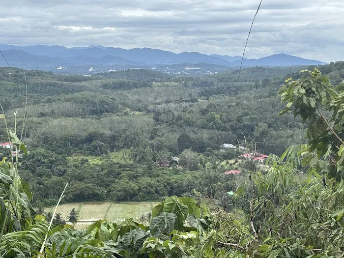 Geliong View Hill Picture 1