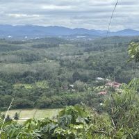 Geliong View Hill ico