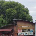 Nasi Kerabu Ja Corner