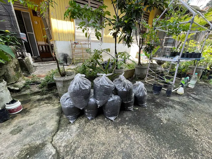 Tanah Campuran Organik Picture 1