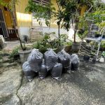 Tanah Campuran Organik