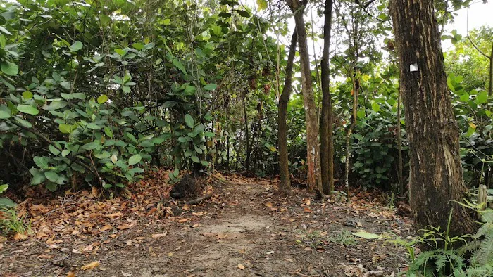 rendezvous point bukit Gasing Picture 1