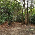 rendezvous point bukit Gasing