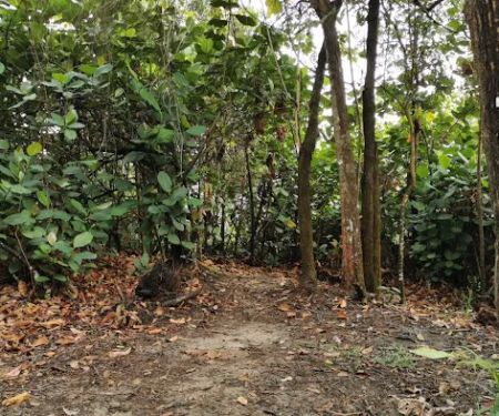 rendezvous point bukit Gasing