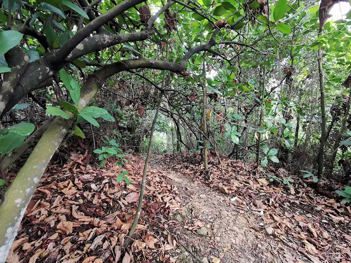 rendezvous point bukit Gasing Picture 3