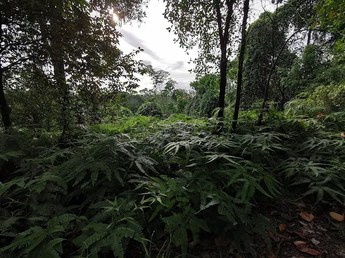 rendezvous point bukit Gasing Picture 2