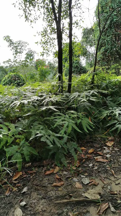 rendezvous point bukit Gasing Picture 4