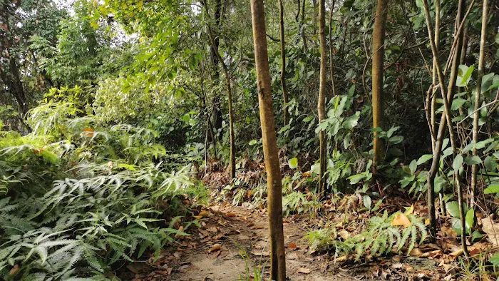rendezvous point bukit Gasing Picture 7