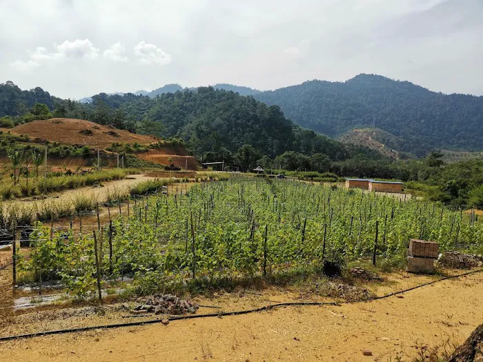 Bentong Lucky Farm Picture 1