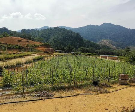 Bentong Lucky Farm
