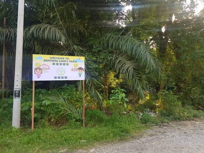 Bentong Lucky Farm Picture 5