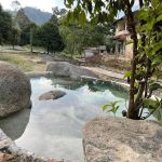 Bentong Fruits Farm Hot Spring Campsite