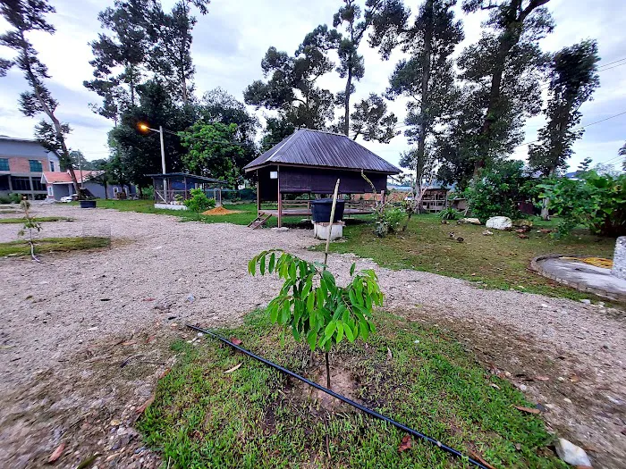 Laman Pok Nik Picture 4